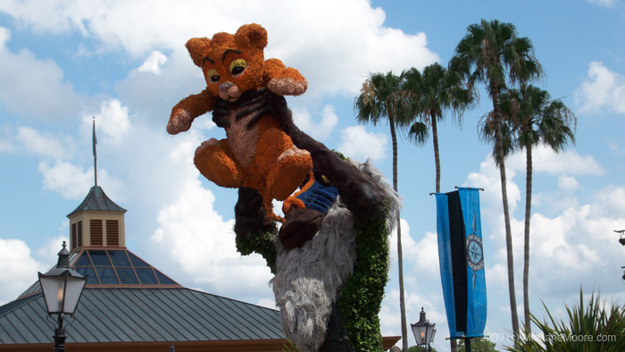 Mia-Moore-DisneyWorld-0509 078