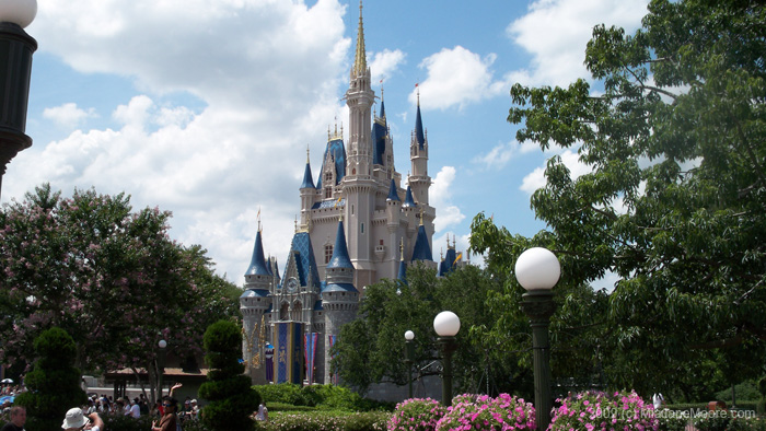 Mia-Moore-DisneyWorld-0509 156