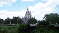 Mia-Moore-DisneyWorld-0509 146