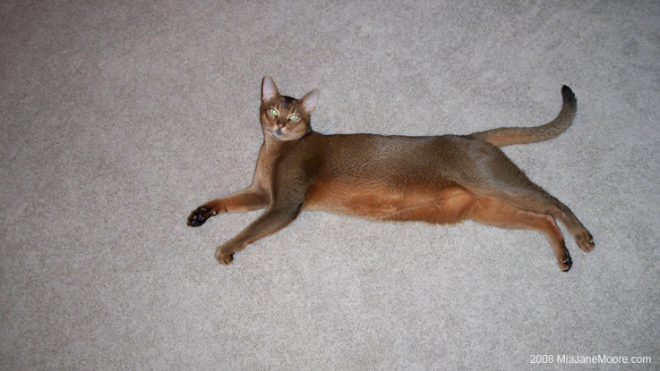 June2008 062