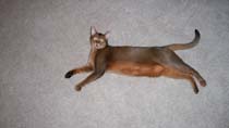 June2008 062