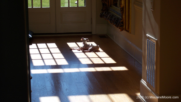 Dec2008 008