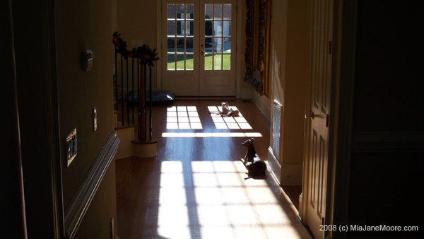 Dec2008 010