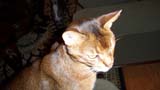 Dec2008 129