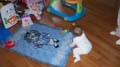 Dec2008 199