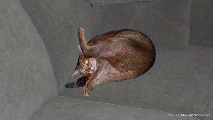 Nov252008 004