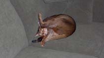 Nov252008 004
