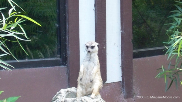 MiaMoore-Aug2008 047