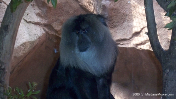 MiaMoore-Aug2008 052