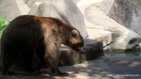 MiaMoore-Aug2008 056