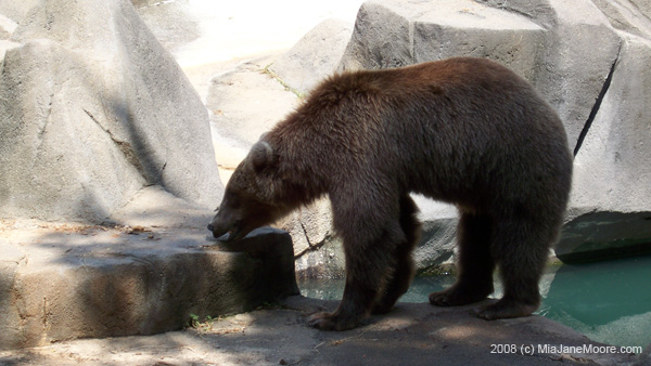 MiaMoore-Aug2008 057