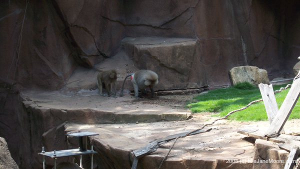MiaMoore-Aug2008 061