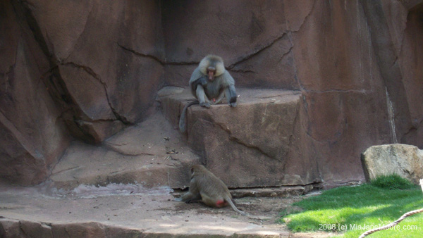 MiaMoore-Aug2008 063