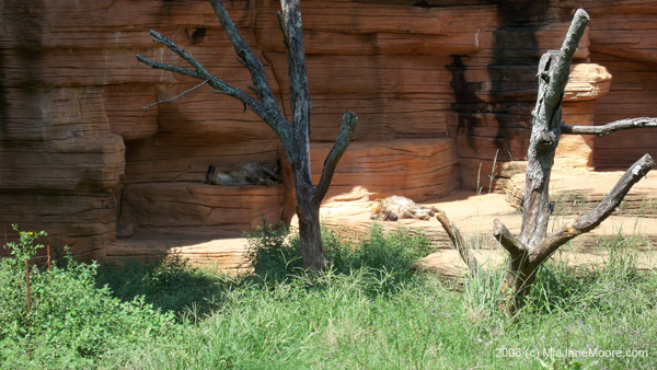 MiaMoore-Aug2008 068