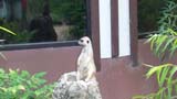 MiaMoore-Aug2008 048