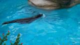 MiaMoore-Aug2008 053