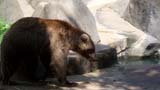 MiaMoore-Aug2008 056