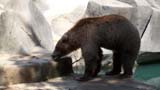 MiaMoore-Aug2008 057