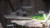 MiaMoore-Aug2008 061