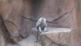 MiaMoore-Aug2008 062