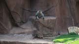 MiaMoore-Aug2008 063