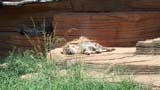 MiaMoore-Aug2008 066