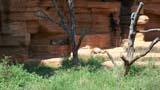 MiaMoore-Aug2008 068